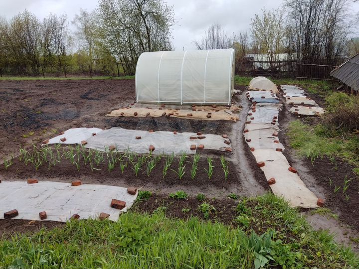 Дом 50,7 м² на участке 34 сот.