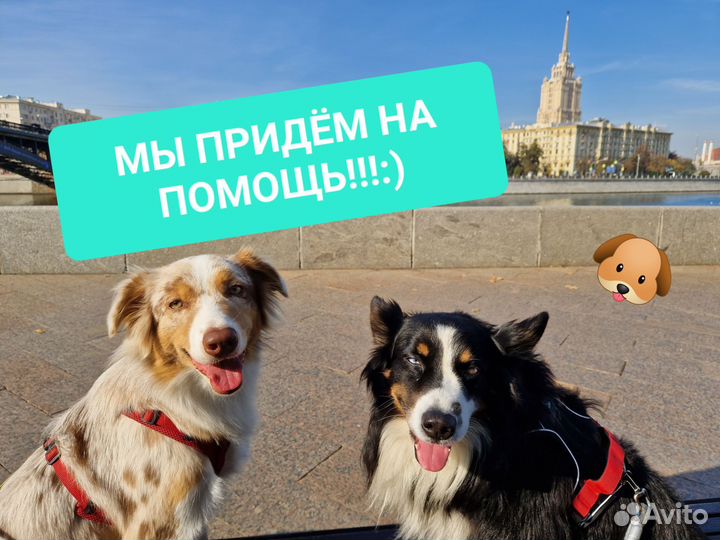 Слушатель собеседник разговор по душам психолог