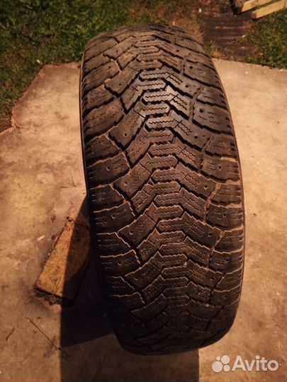 Шина зимняя 195/65 R15 Cordiant