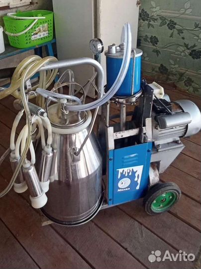 Доильный аппарат