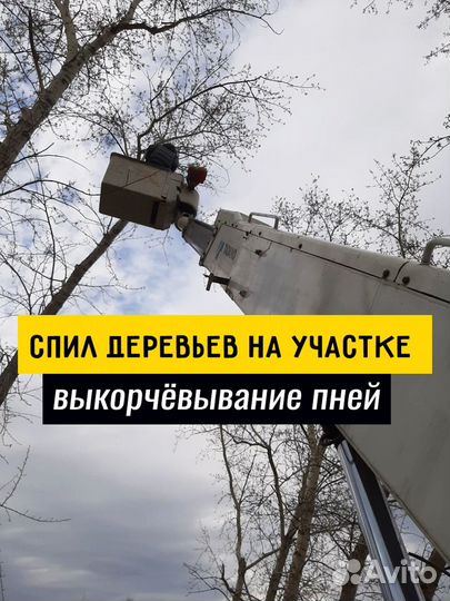 Валка деревьев - Расчистка участка от деревьев