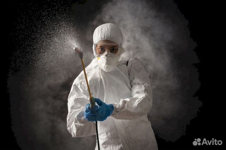 Благовещенск Уничтожение Клопы Тараканы Блохи Осы