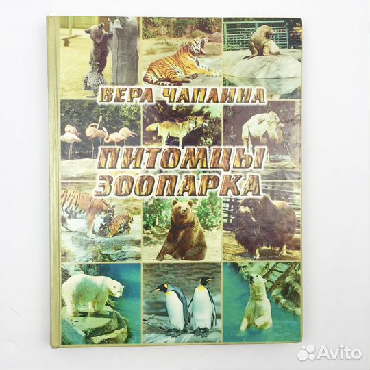 Книги большого формата