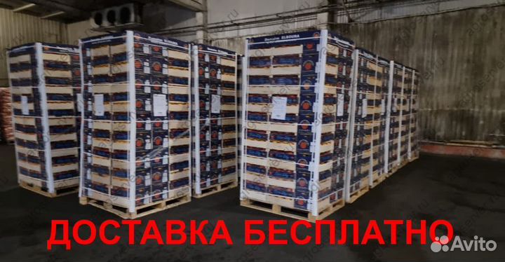 Апельсин оптом - доставка есть