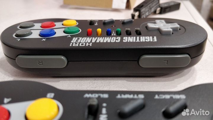 Hori fighting commander