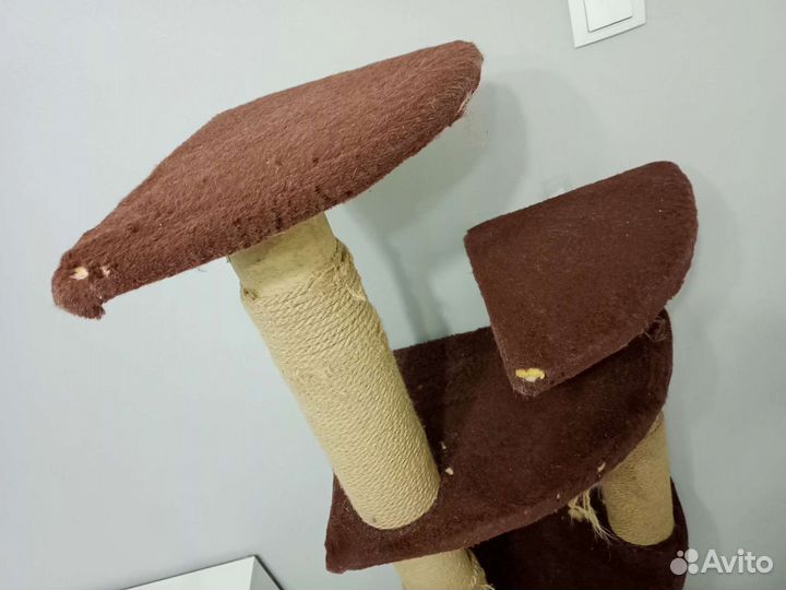 Когтеточка для кошек с домиком