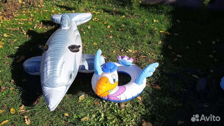 Надувной дельфин