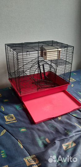 Клетка, крысята, корм, поилка, кормушка, домик