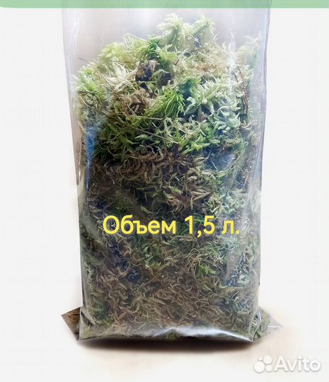 Мох сфагнум 1,5 л