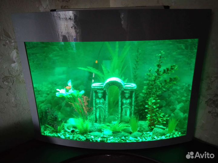 Ремонт Аквариумов,Террариумов,Светильников