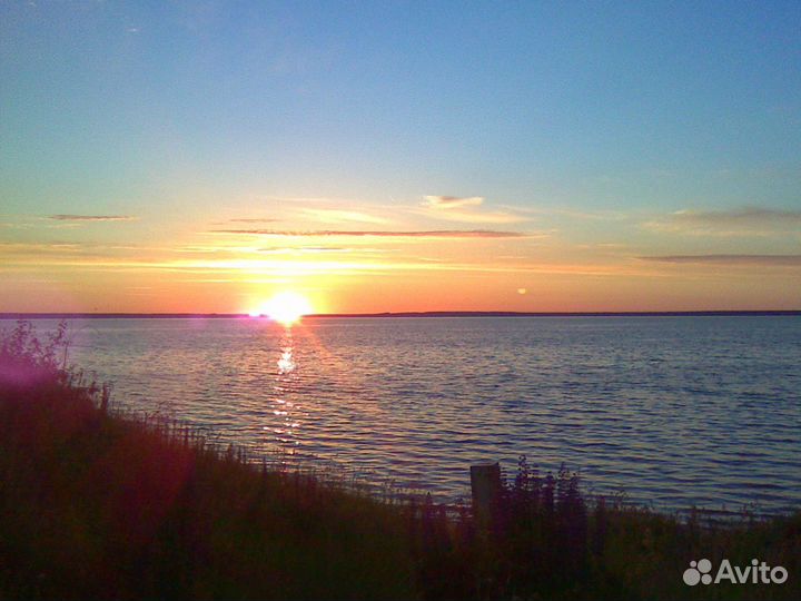 Работа С недвижимостью