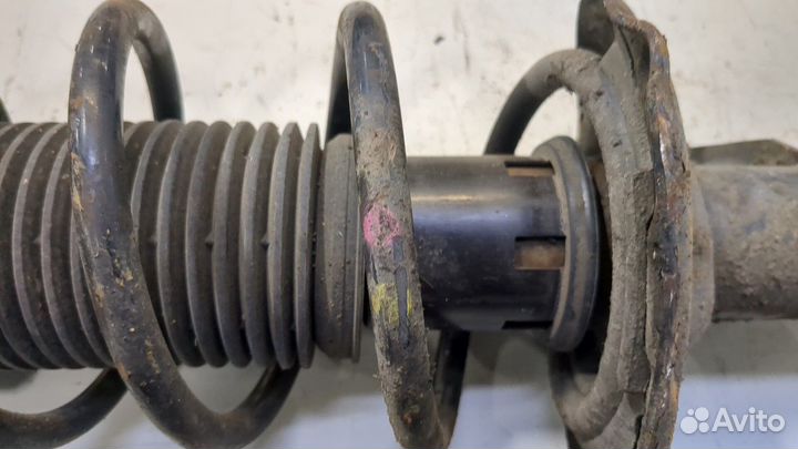 Амортизатор подвески Volkswagen Golf 6, 2010