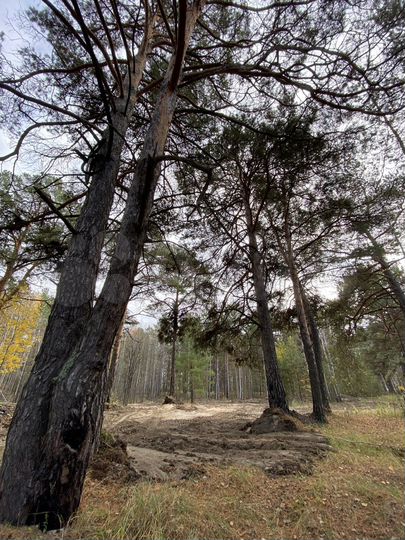 Участок 8,9 сот. (ИЖС)