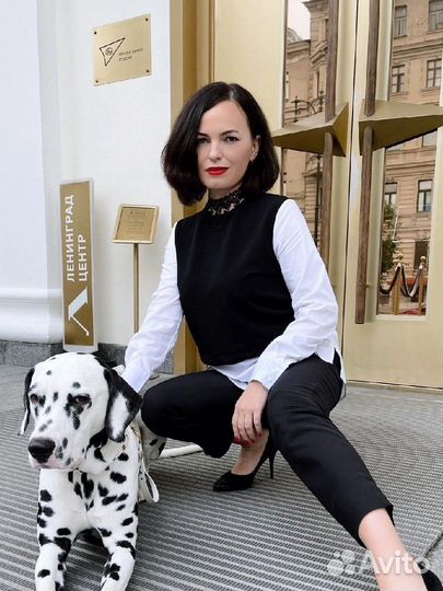 Оформление группы вконтакте/продвижение/таргет вк