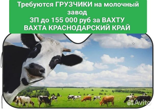 Грузчик на молочный завод Вахта