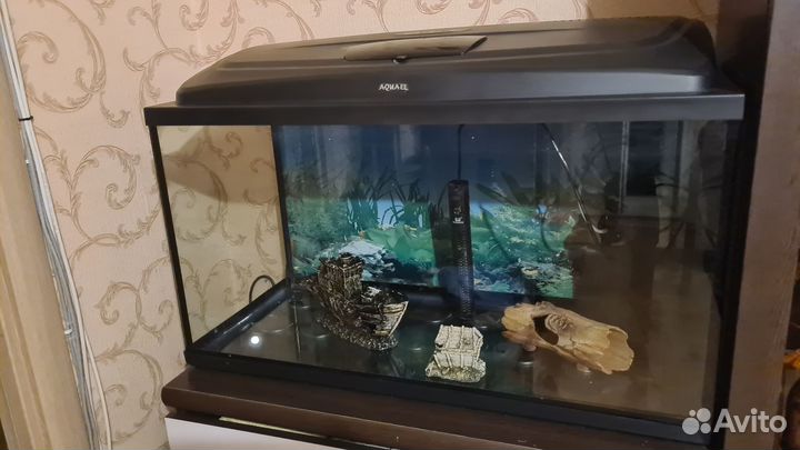 Продам аквариум для рыбок