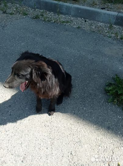 Мальчик 1 год