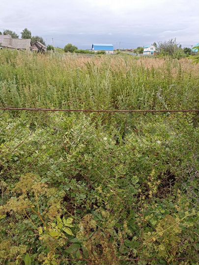 Участок 15 сот. (ИЖС)