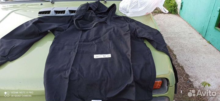 Энцефалитка