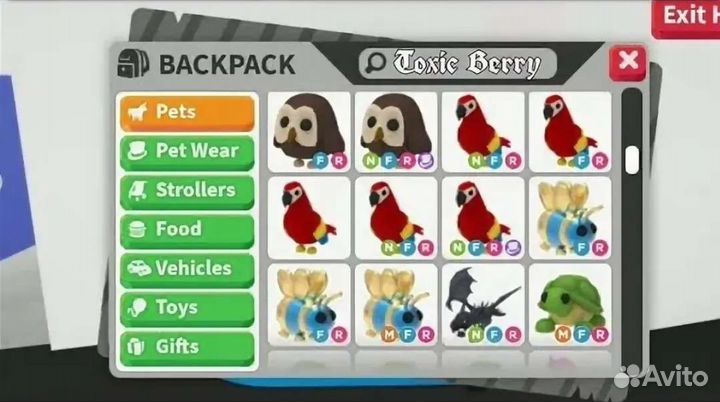 инвентарь адопт ми. инвентарь адопт ми. петы в адопте инвентарь. инвентарь в адопте. фото инвентаря адопт ми.