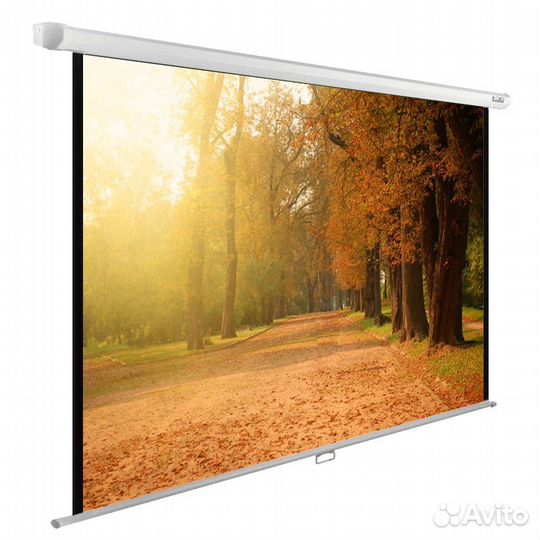 Экран Cactus 125x200см WallExpert CS-pswe-200x125