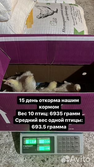 Комбикорм для бройлеров старт 40 кг