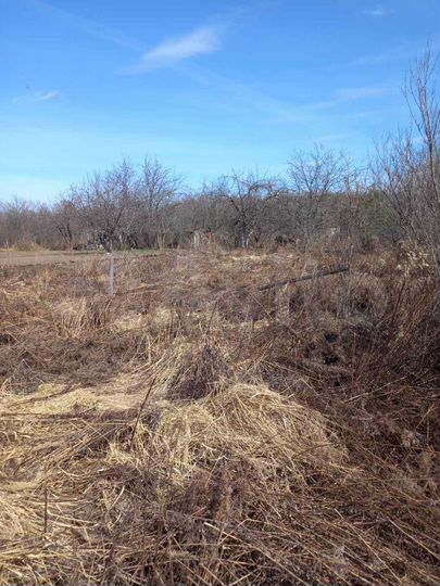 Участок 6 сот. (СНТ, ДНП)