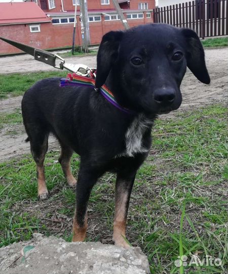 Девочка в добрые ручки