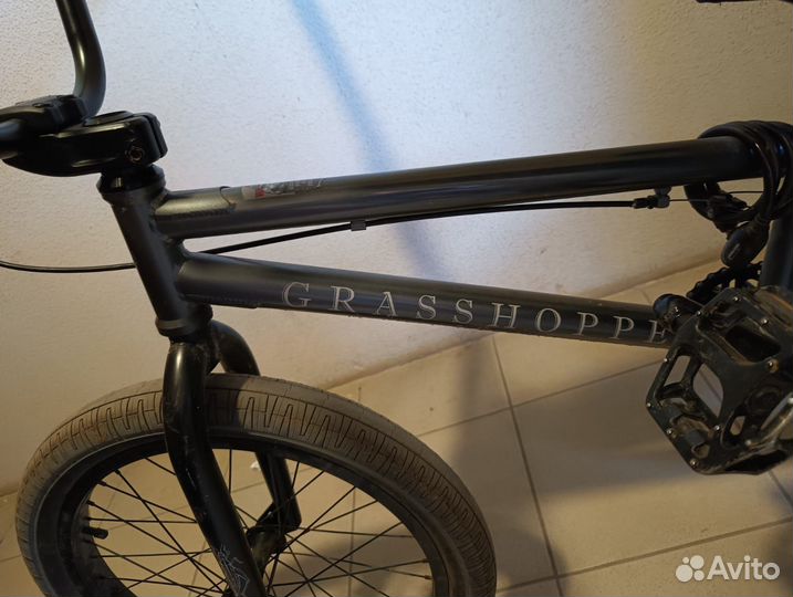 Bmx tech team grasshopper