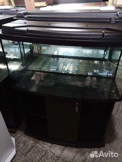 Новый 200 с выгнутым стеклом и с тумбой