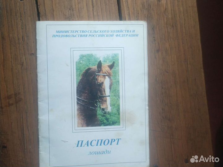 Продам кобылу цена 120000