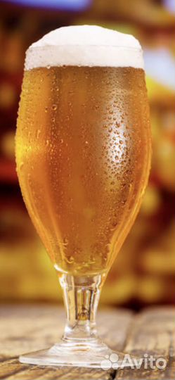 Пивная точка