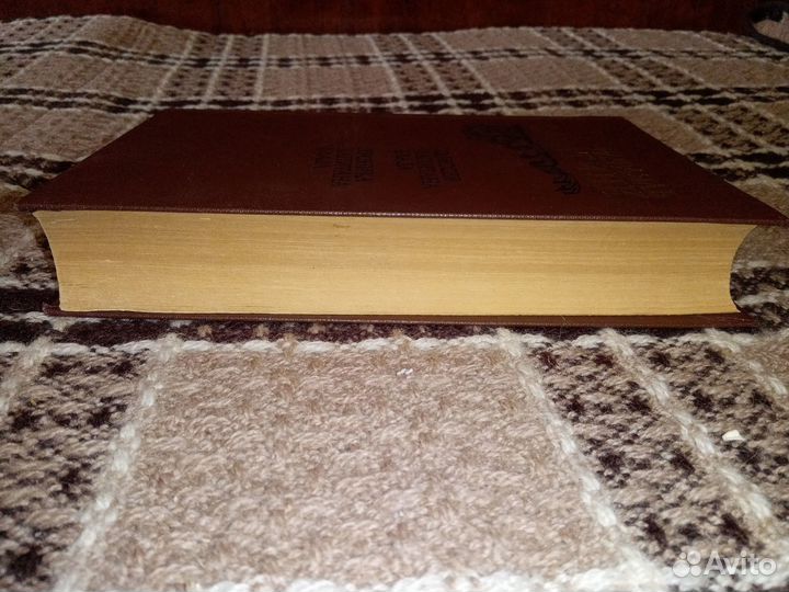 Рафаэль Сабатини 1984