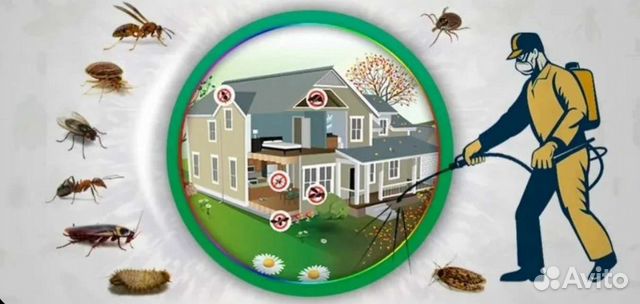 Барнаул Уничтожение Комары Мошка Клопы Тараканы