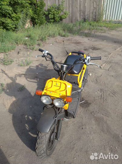 Honda zoomer 49