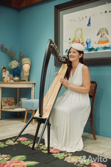 Композитор, аранжировщик, музыкант