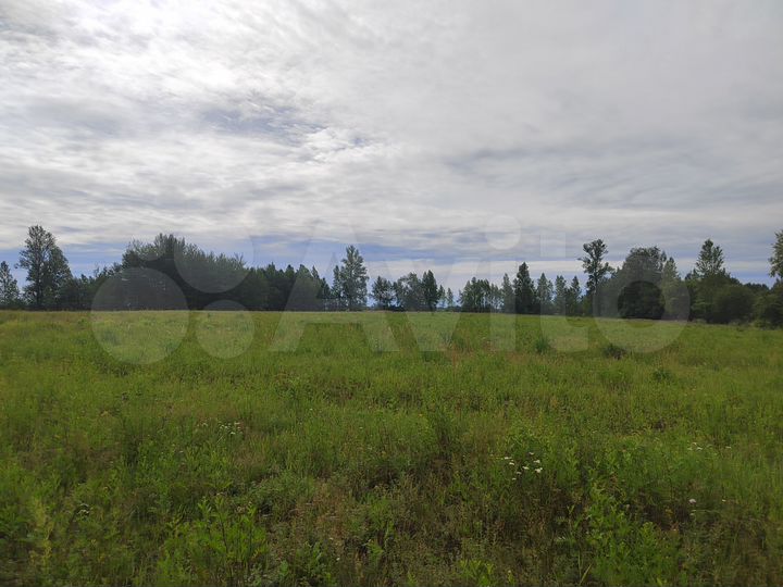 Участок 15 сот. (ИЖС)