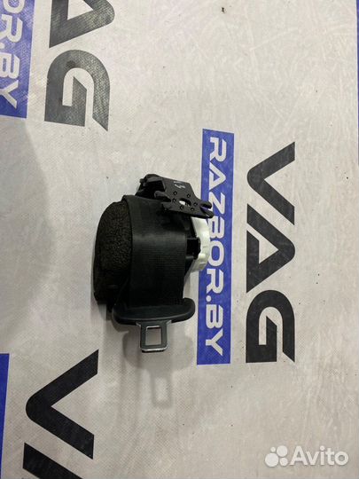 Volkswagen Passat B82015 3G9857806DVR142-343