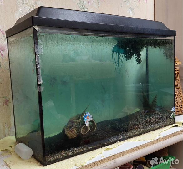 Аквариум