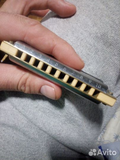 Губная гармошка hohner