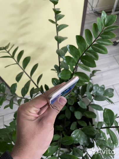 iPhone 8, 256 ГБ