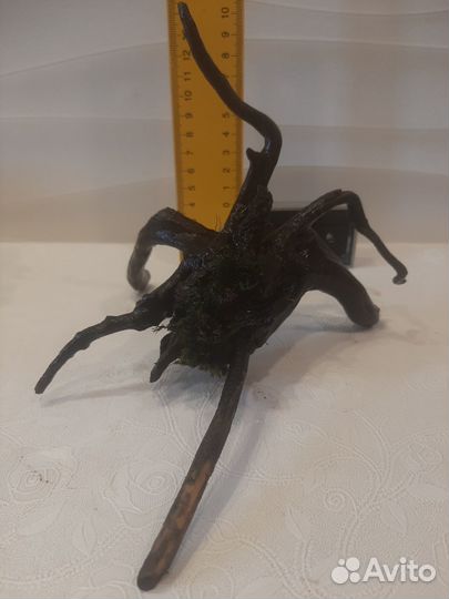 Коряжка,Лава,Растения