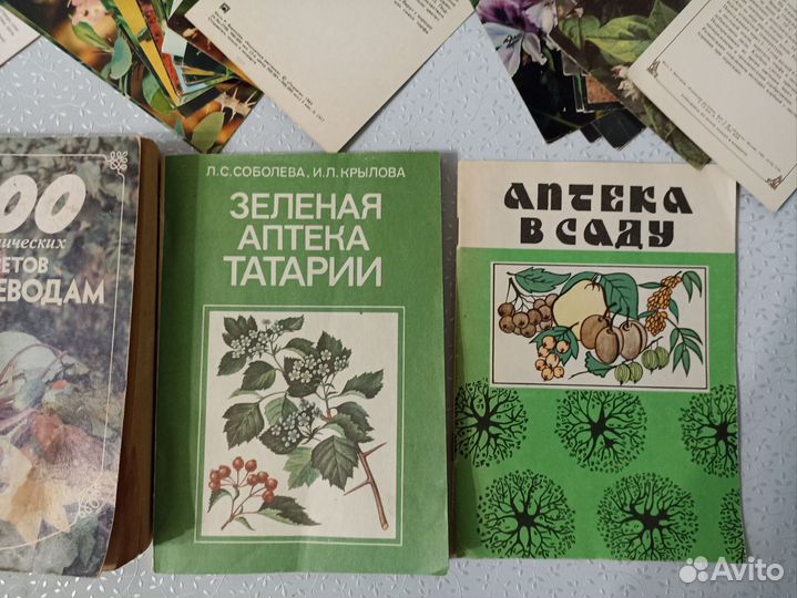 Книги пакетом про овощеводство