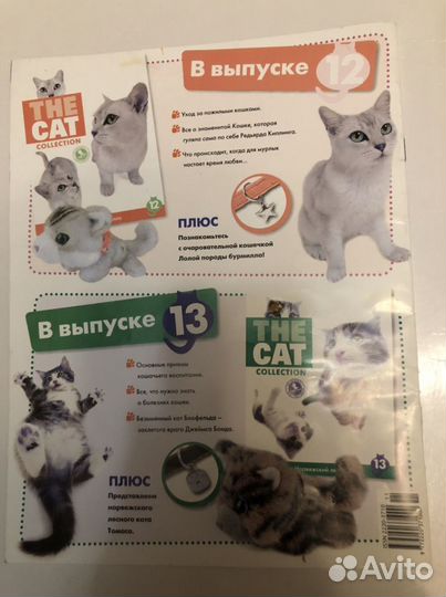 О домашних питомцах