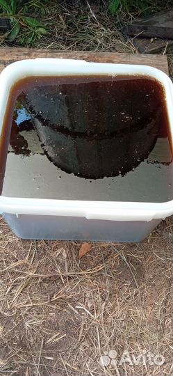 Мед гречишный оптом и в розницу