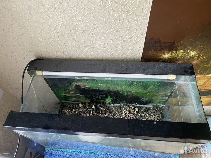 Аквариум на 100литров