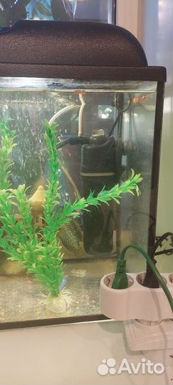 Аквариум на 60л с фильтром