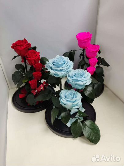 Подарок на новый год / Цветы