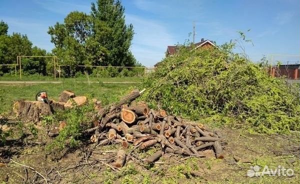 Расчистка Участков Спил Деревьев Покос Травы