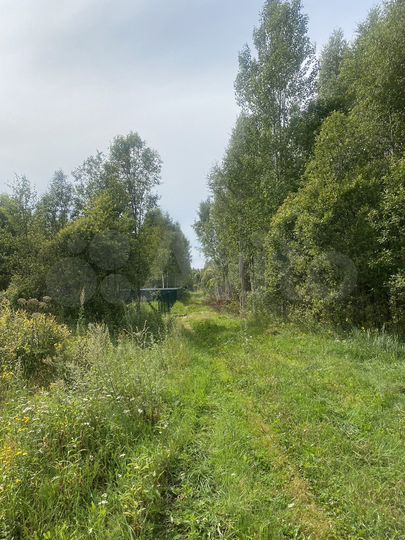 Участок 16 сот. (ИЖС)